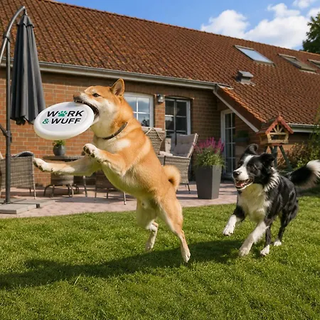Work & Wuff Fuer Dich Und Deinen Vierbeiner Apartman Blomberg