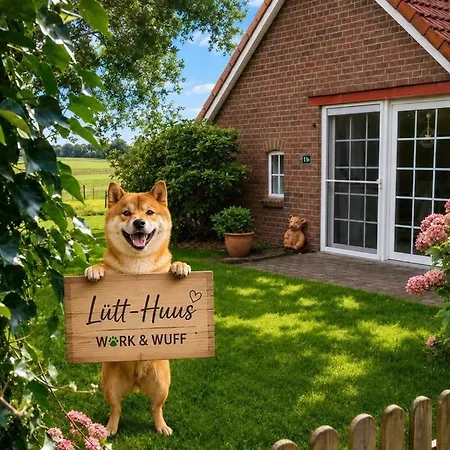Work & Wuff Fuer Dich Und Deinen Vierbeiner Daire